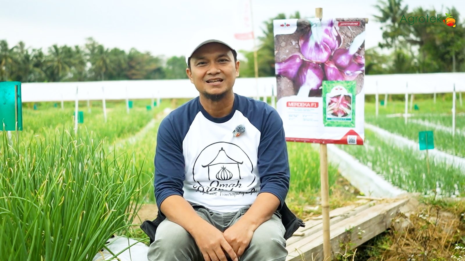 You are currently viewing Petani Bawang Merah